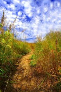 103781044_2847021558740014_7280555571087435587_n