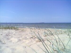 104001085_136525438044469_8487220878037061911_o