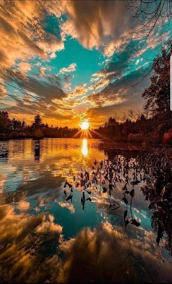 104976717_2885204944921675_8534146317287228485_n