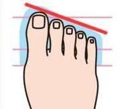 1913b5731a53ad6dee-74481021