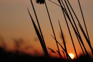 64329880_10220793580243996_168551258477559808_n