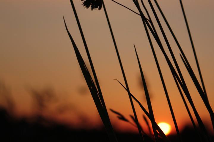 64329880_10220793580243996_168551258477559808_n