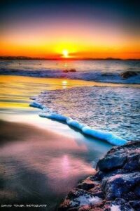 91395742_2689619851146853_6610125337659441152_n