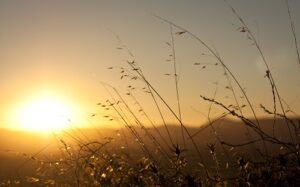 Nature___Seasons___Spring_Sunrise_spring_sun_069290_