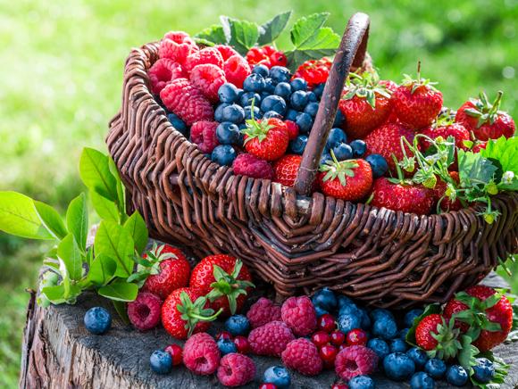 berries_mag