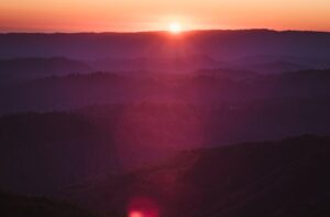 jason-leung-OIx83YZSf9g-unsplash-850x560