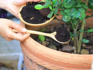 shutterstock_1023534823_1