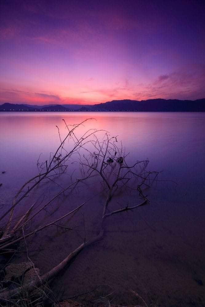 101141220_1652698561562334_2308197377141374976_o_1652698558229001