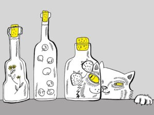 106355679_3000376313343625_5558690785942748839_o