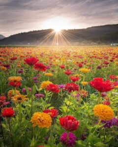 106705411_2915833141858855_5909270359378584716_o