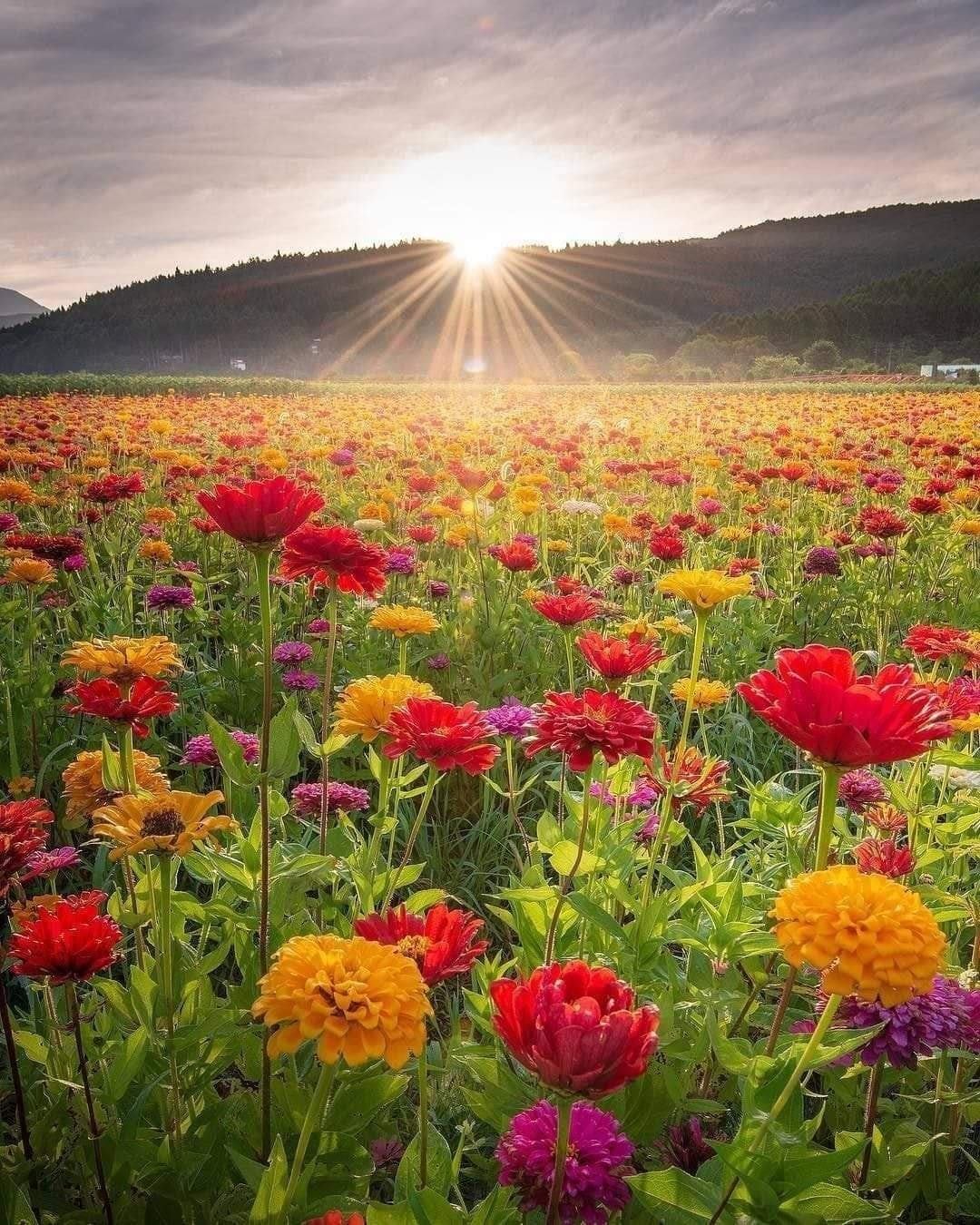 106705411_2915833141858855_5909270359378584716_o