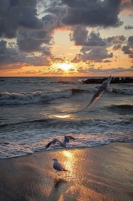 107104811_2934757909966378_2947556775884599695_n