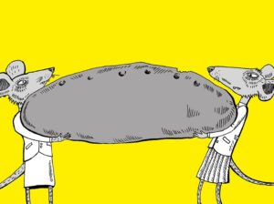 107804849_3024360047611918_212322551070227323_o