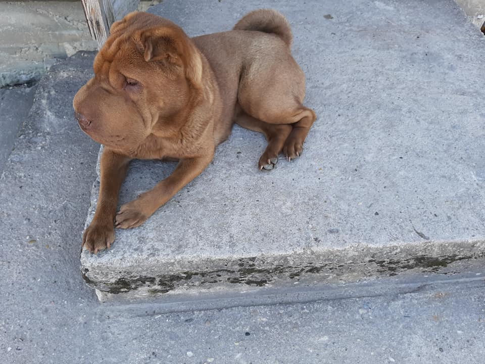 109838973 3447567291941374 8426123539968522480 n