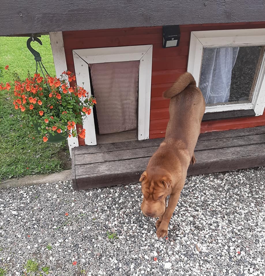 116152306 3447567615274675 1898308188098514682 n