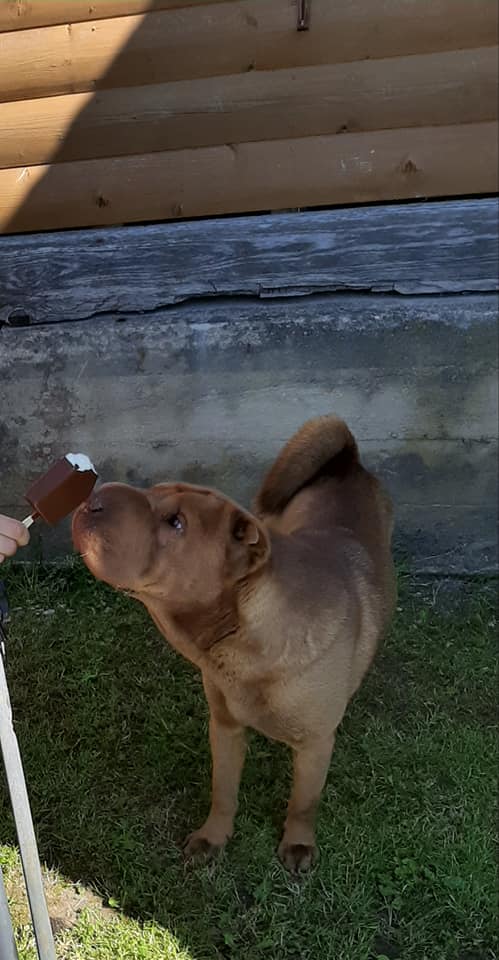 116183224 3447566971941406 2193800902808329381 n