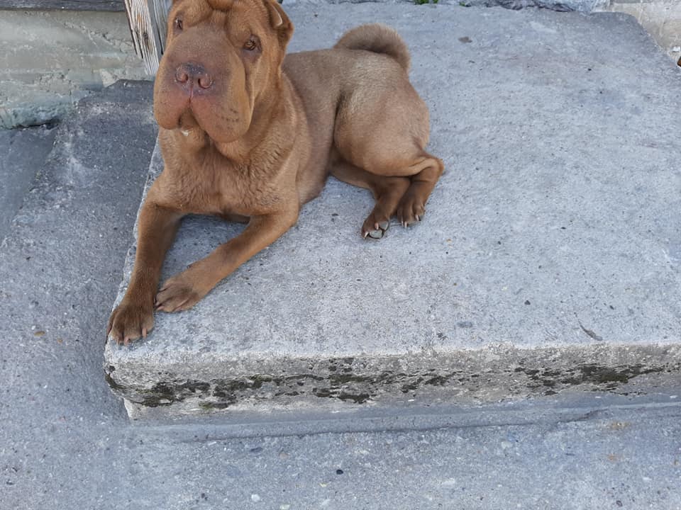 116291863 3447567158608054 8758922533165455339 n