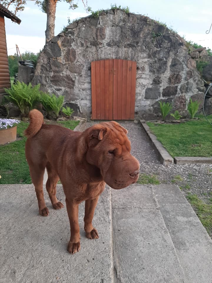 116368425_3447567461941357_3614439492739191267_n