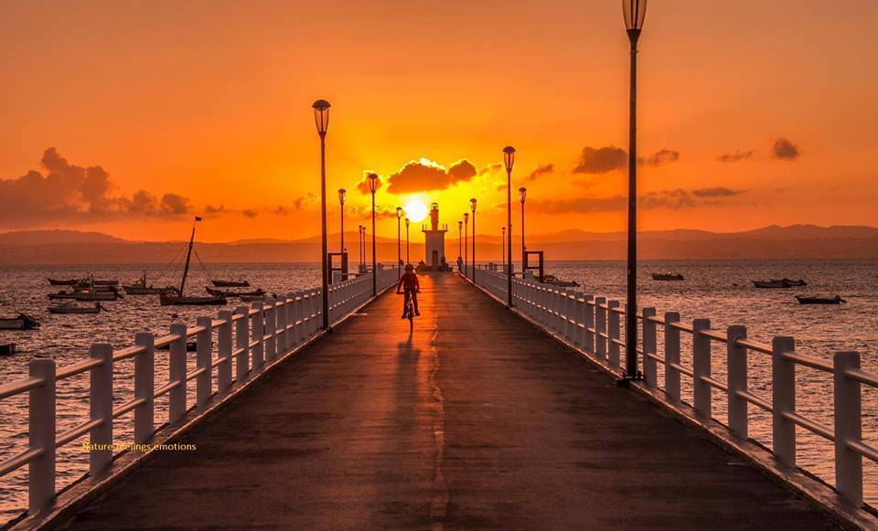 13669154_10208383205072373_4199461523326389452_n