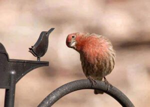 86480436_1544984302333761_2721903058182209536_n_1544984299000428