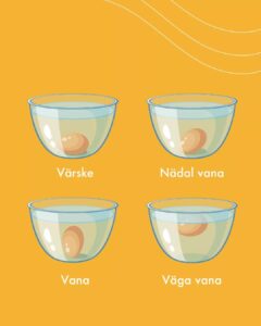 86631289_1547912678707590_8267855638718054400_o_1547912675374257