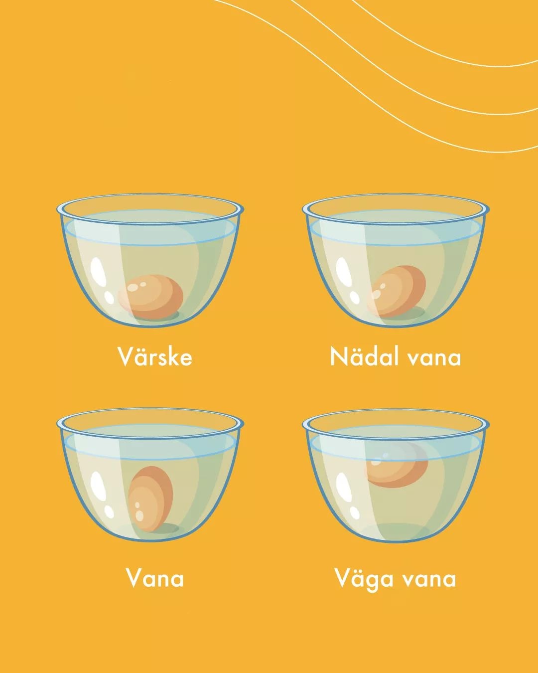 86631289_1547912678707590_8267855638718054400_o_1547912675374257