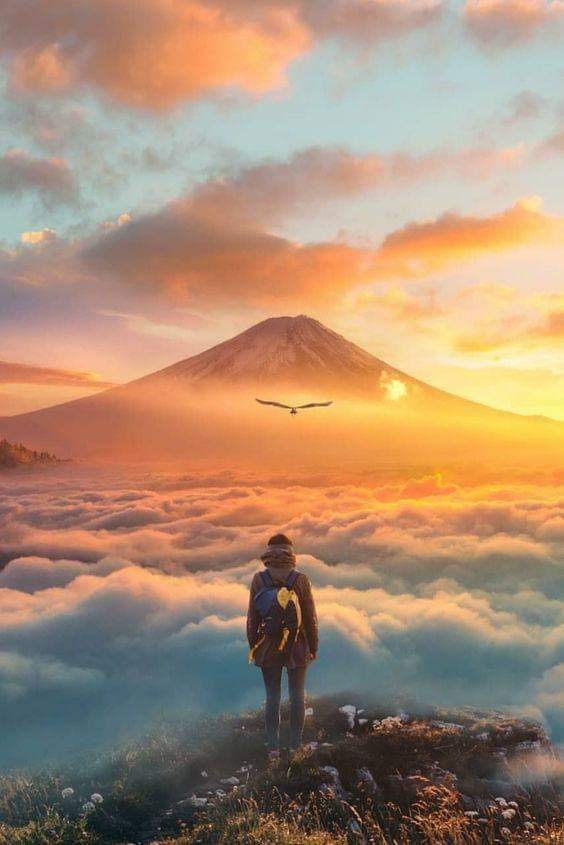 86970751_1546545565510968_3089505890252881920_n_1546545562177635