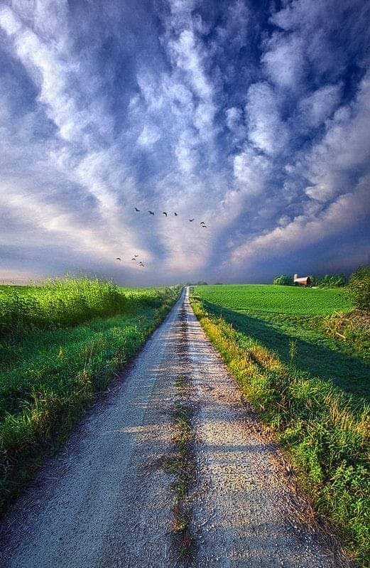 96845204_1633583630140494_2087984778853744640_n_1633583626807161