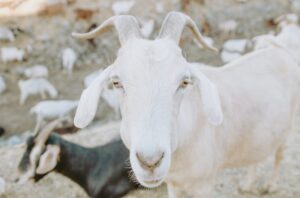 caleb-woods-EddYw_S1x14-unsplash-850x560