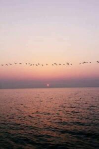 116237675_2999183536857148_4376627582154656410_n