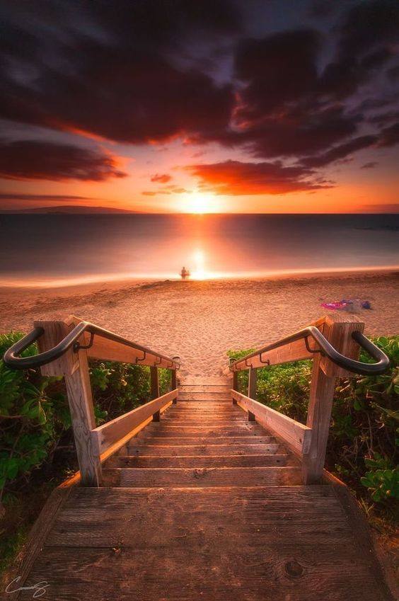 70224766_10221386335422505_2029928971474305024_n