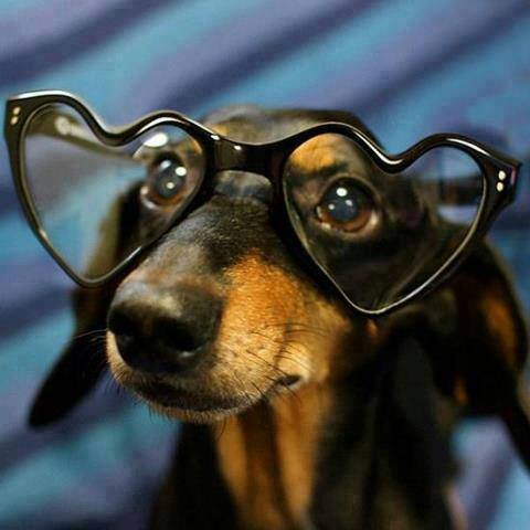 1383158_10201148960940791_2099225582_n