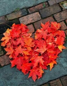 44490354_10218726205120910_410937999820324864_n