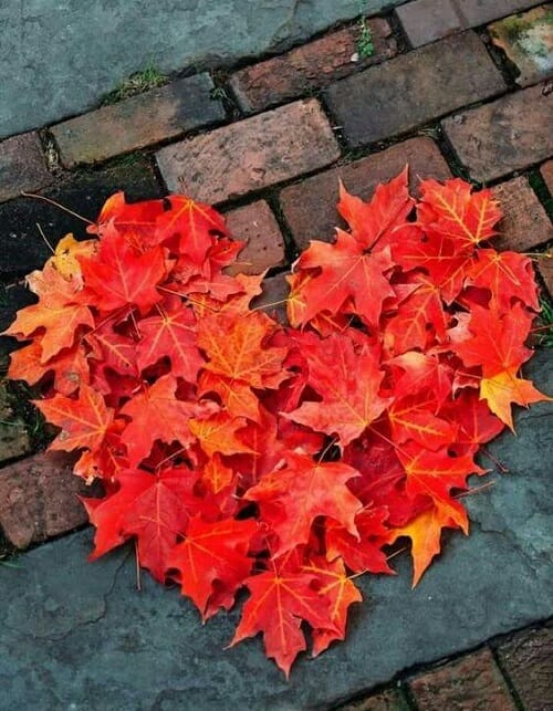 44490354_10218726205120910_410937999820324864_n