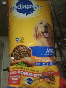 72345837_10221786702271426_2830038901492547584_n