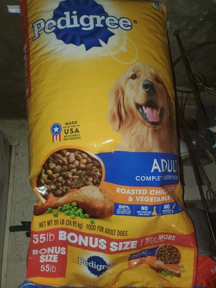 72345837_10221786702271426_2830038901492547584_n