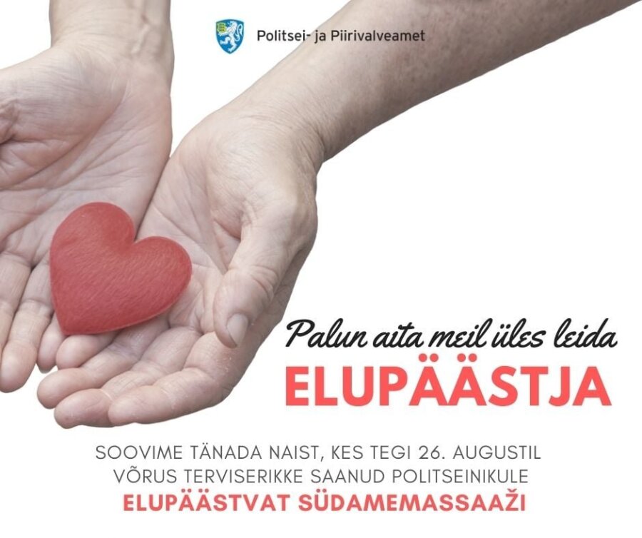 e78b15f81dd2207eac-91319069