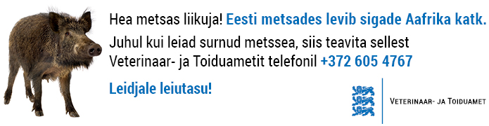 Veterinaar- ja Toiduamet palub kõigil metsas liikujatel, kes leiavad surnud metssea, sellest ametit teavitada. 4 image002