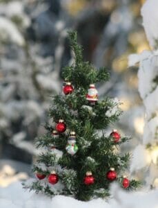 photo-1575129122214-05d16114b0fd