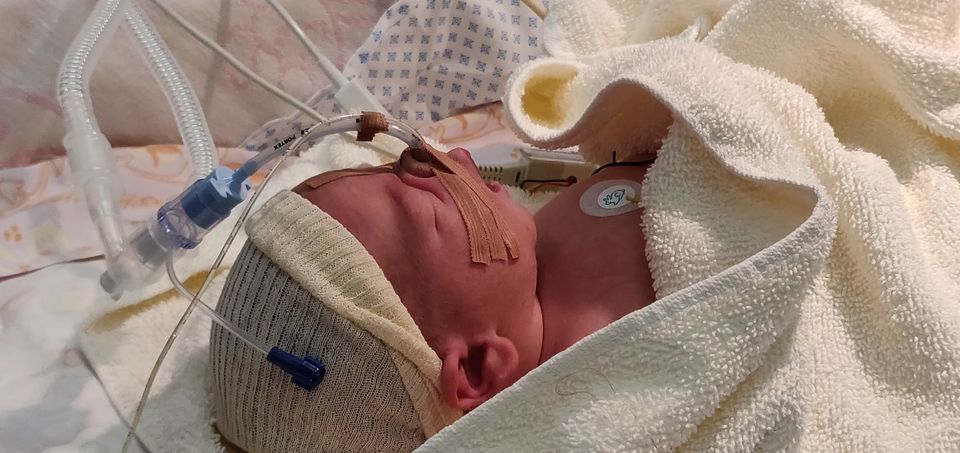 123564348_10158654424088905_1183682622193769148_o