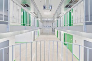 123919822_3380940768661752_7393091464145597728_o