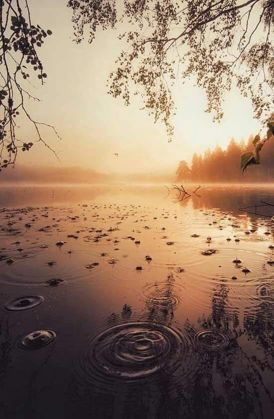 125194340_10225433732364899_856510541715382705_n