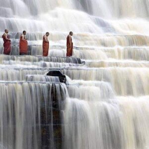 125220657_187385556291790_8272765888186368309_n