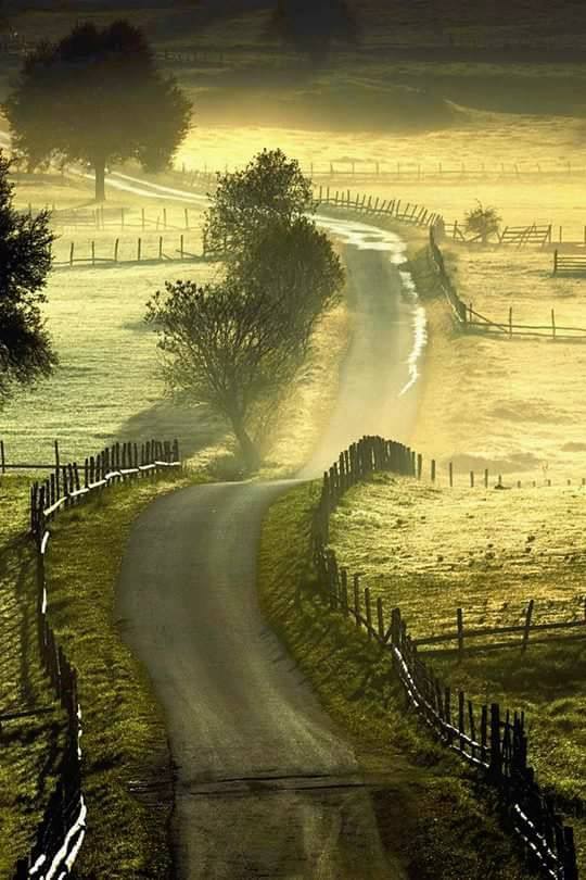 46445158_10219262399725440_6835123848069775360_n