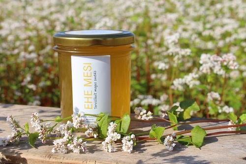 68264510_674772519686879_481880285340762112_o