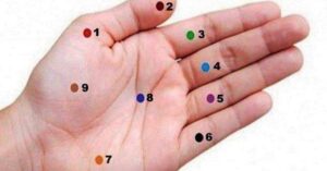 73409315_2893907283971473_5210417305736970240_n