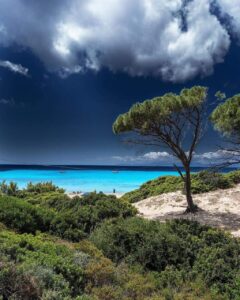 105988604_10224229635503230_5885393565025051732_o