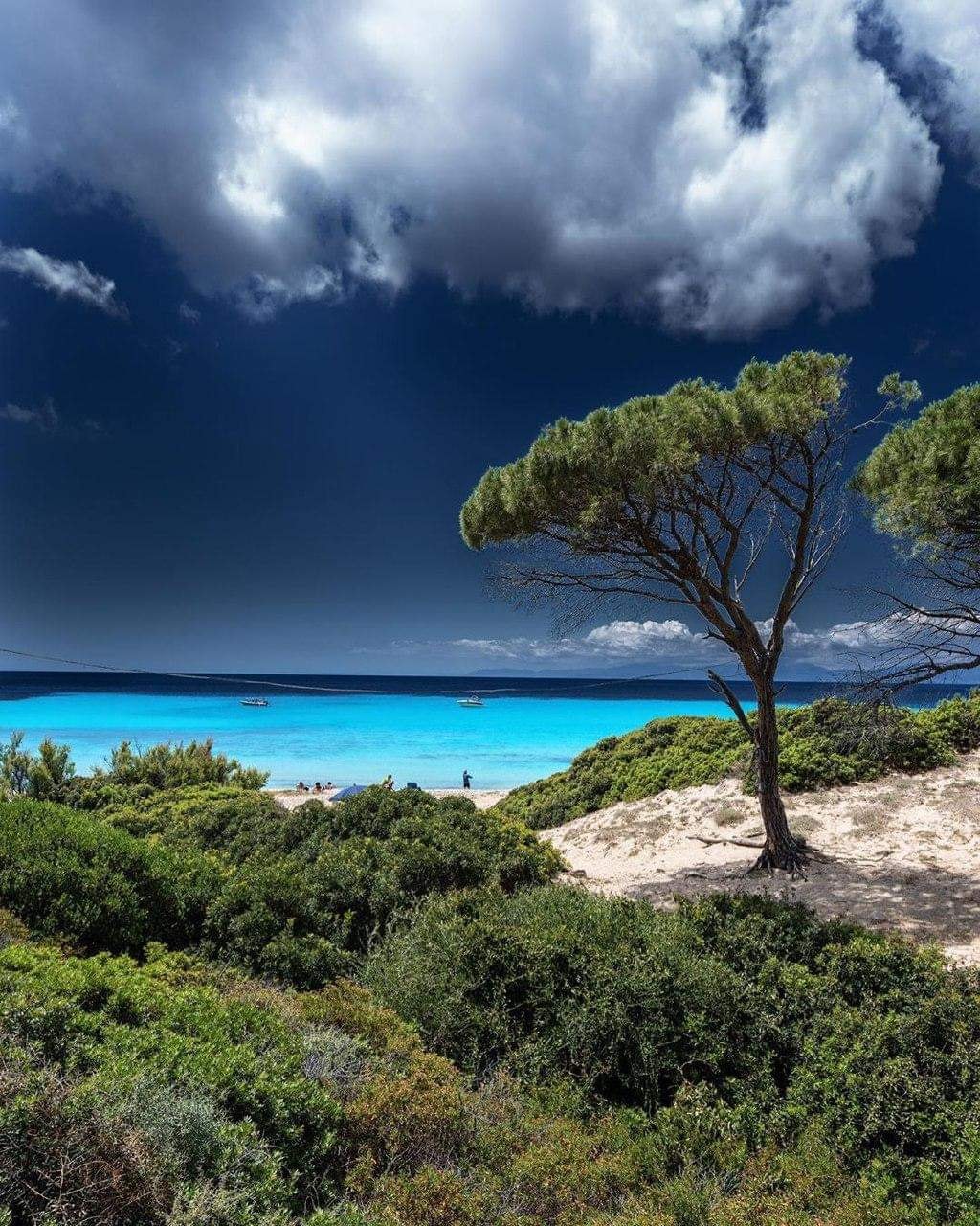 105988604_10224229635503230_5885393565025051732_o