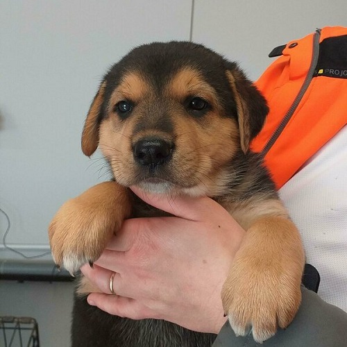 20201228_133602 (1)_block