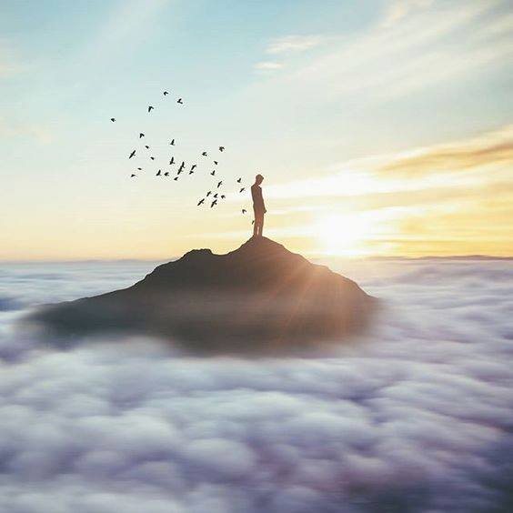 79131020_10222244650479845_2940925117305192448_n